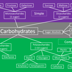 Carbohydrates classification biochemistry lecture