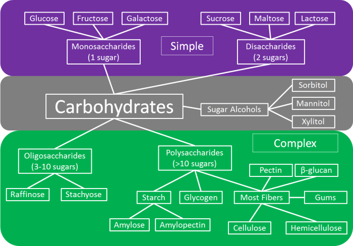 Carbohydrates classification biochemistry lecture