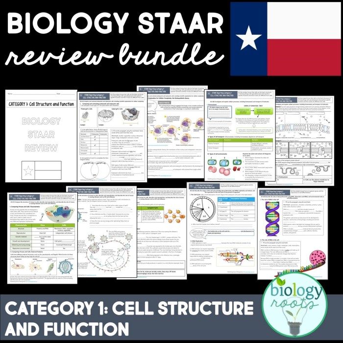 Biology milestone review packet answer key