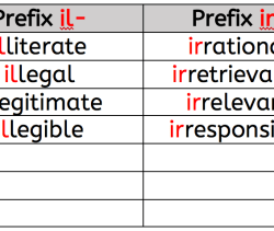 Prefixes vocabulary