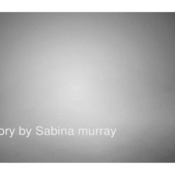 Balboa short story by sabina murray