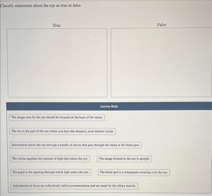 Classify false true statement either each transcribed text show