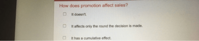 How does promotion affect sales cesim