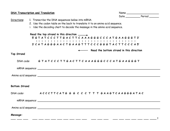 Practice transcription and translation worksheet